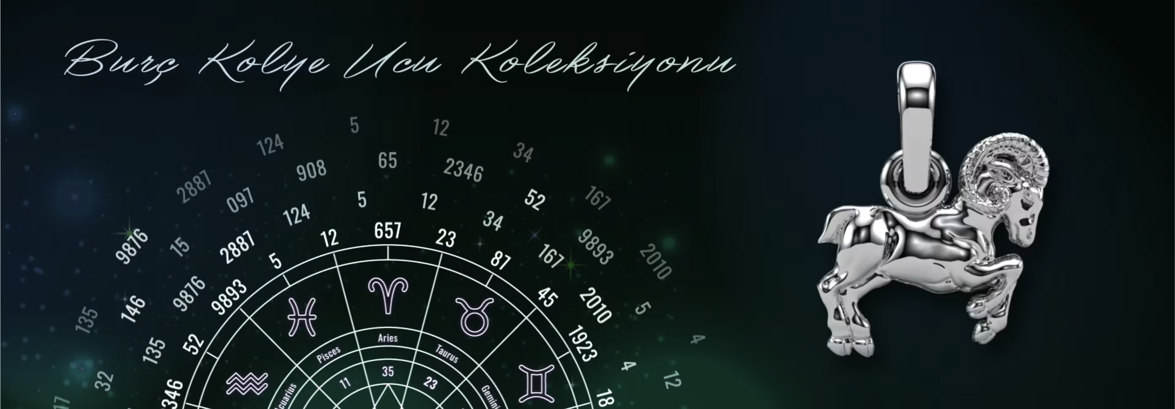 hareketlibanner